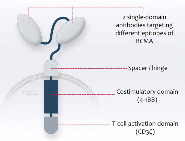 1646359045698909.jpg 20220301bb.jpg