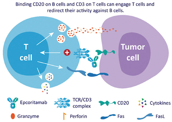 1647328218228326.jpg 20220309c.jpg
