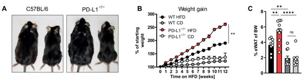 1649386762499761.jpg 20220323b1.jpg