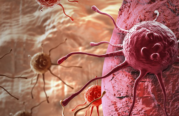 1649820098985444.jpg 20220411a.jpg