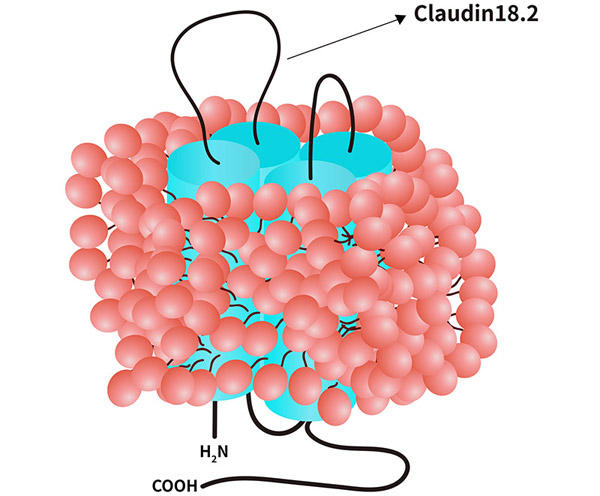 1651216767638284.jpg 20220424s2.jpg