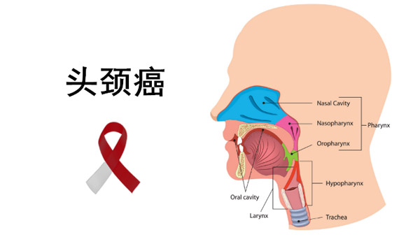 1655714570957783.jpg 20220617a.jpg