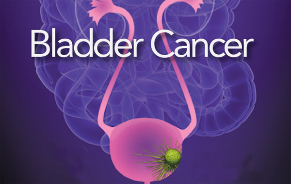 1658375284231323.jpg 20220712s.jpg