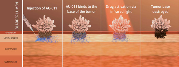 1658375295433830.jpg 20220712s2.jpg