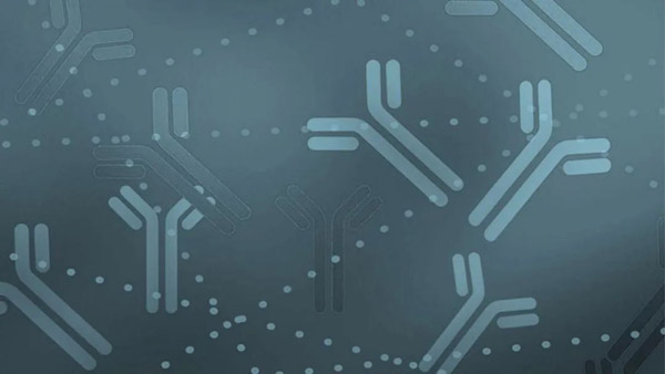 1660120190493714.jpg 微信圖片_20220810162516.jpg