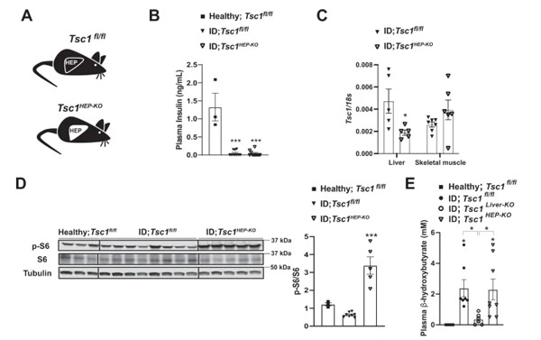 1660812992349785.jpg 20220726s2.jpg