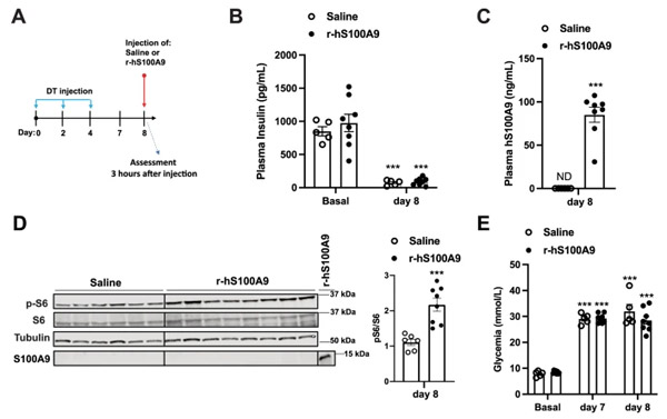1660812997766162.jpg 20220726s3.jpg
