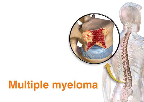 1664335404191851.jpg 20220811d.jpg