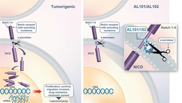1665305307532473.jpg 20220929a2.jpg