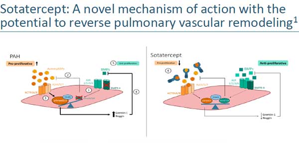 1666151355315880.jpg 20221011a2.jpg
