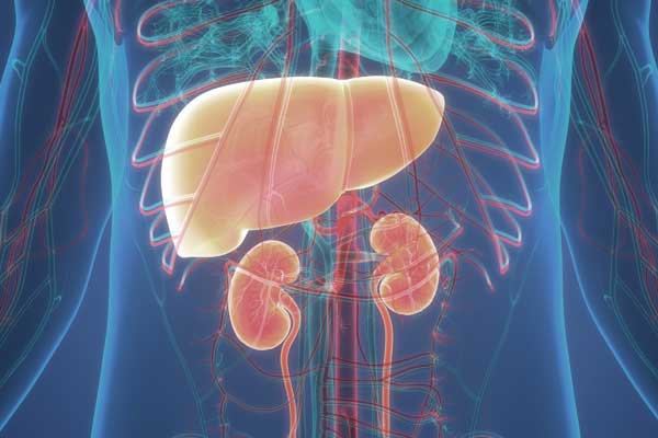 1667360867879595.jpg 20221021s.jpg