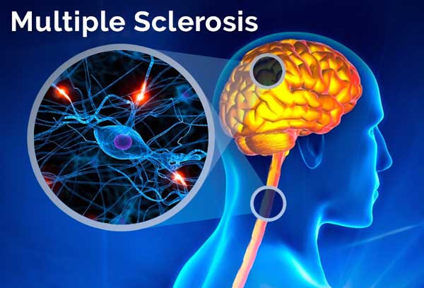 1667466016885395.jpg 20221027e.jpg