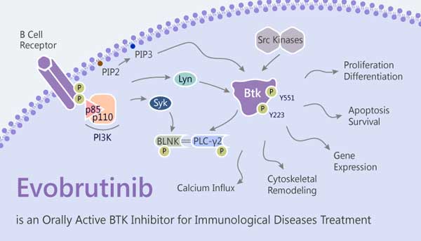 1667466024488499.jpg 20221027e1.jpg