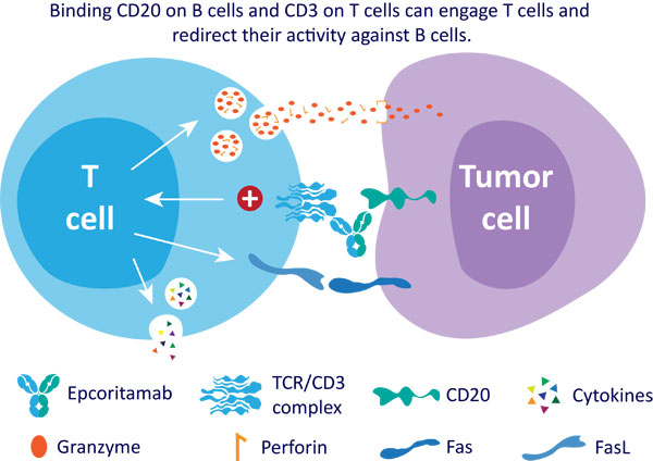 1669366132214787.jpg 20221122a1.jpg