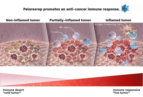1669685818977464.jpg 20221109s2.jpg