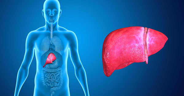 1670920175829451.jpg 20221209a.jpg