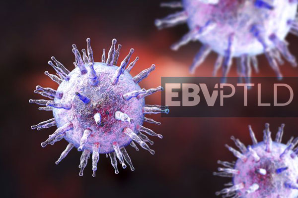 1671698638351741.jpg 20221221s.jpg