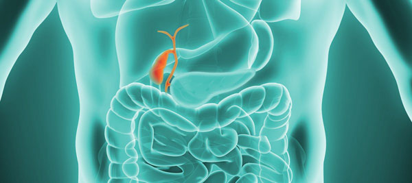 1672730028614775.jpg 20221225a.jpg