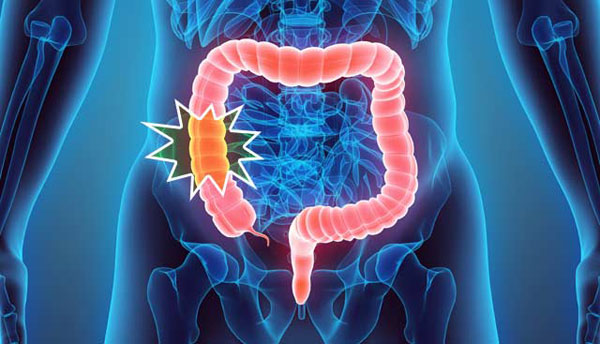 1675303527926090.jpg 20230129s.jpg