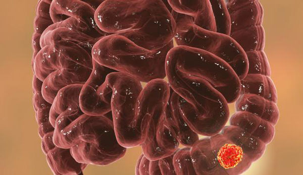 1677121756310225.jpg 20230214a.jpg