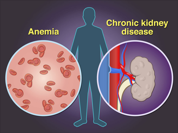 1686109958253337.png 20230427t.png