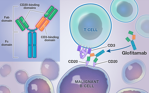 1687139595333909.png 20230616a2.png