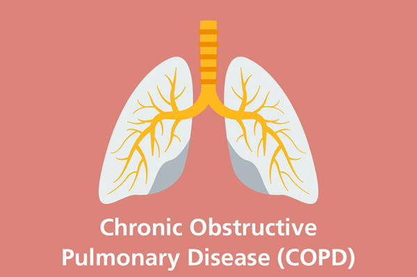 1687231667794581.png 20230523d.png