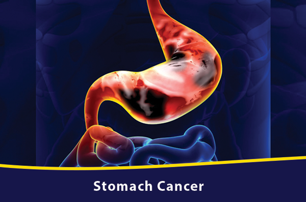 1688696287756937.png 20230619a.png