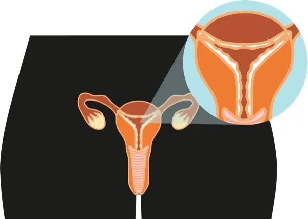 1689129010357471.jpg 01.jpg