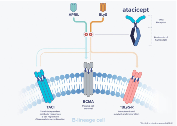 1689645277369017.jpg 20230621a2.jpg