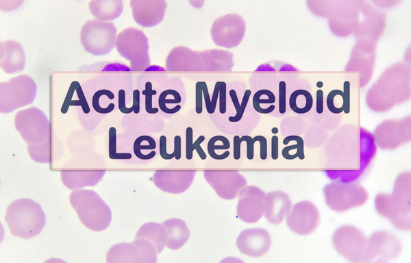 1690172126541221.png 20230721k.png