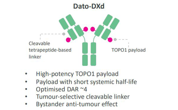 1690768970161813.png 20230704e2.png