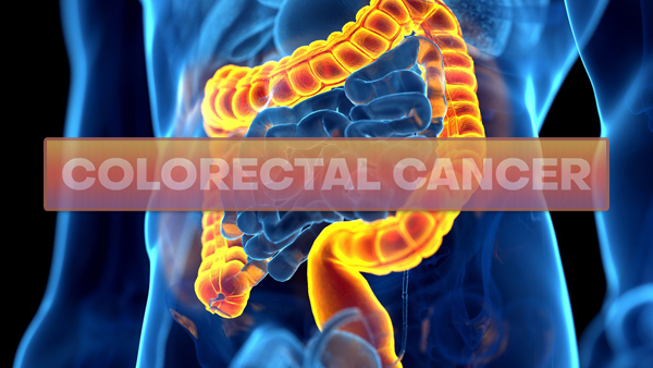 1691376217512265.png 20230803a.png