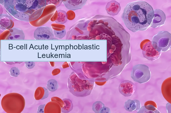 1691635499772030.png 20230718g.png