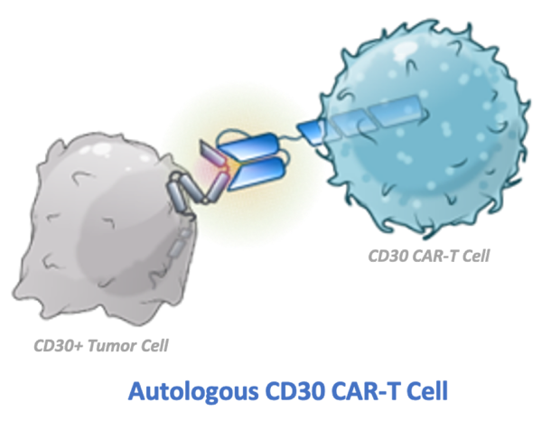 1691722737441611.png 20230711a2.png