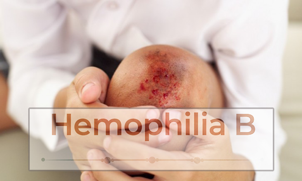 1691980724206333.png 20230628u.png