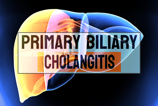 1692066561329341.png 20230703a.png