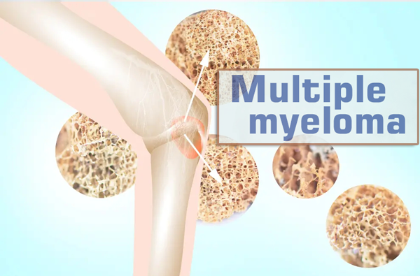 1692156737197574.png 20230811a.png