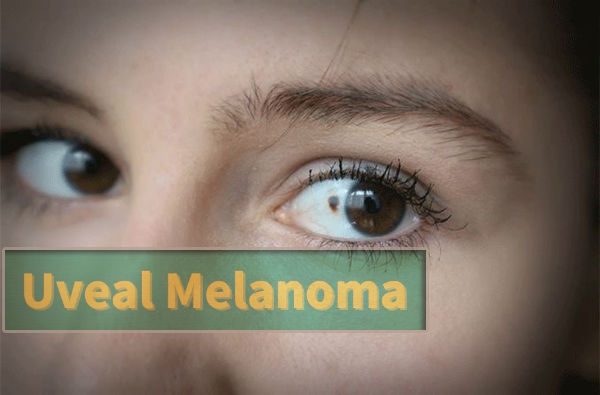 1692588428997740.png 20230816a.png