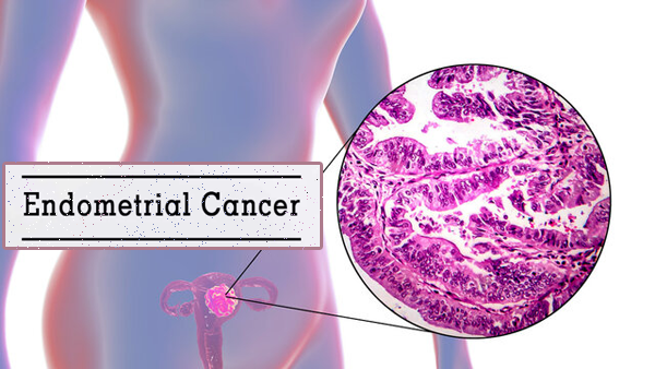 1692760853768748.png 20230801a.png