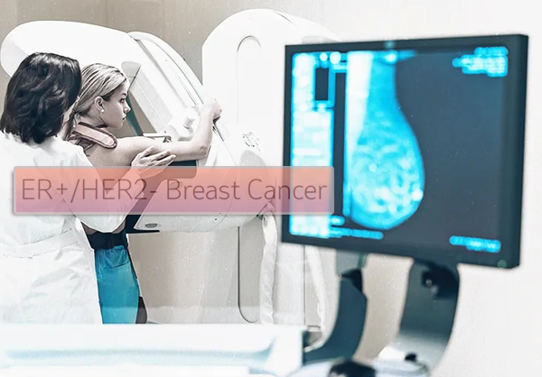 1693193661416618.png 20230731f.png