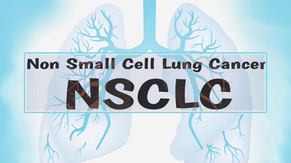 1693357022143257.png 20230828a.png