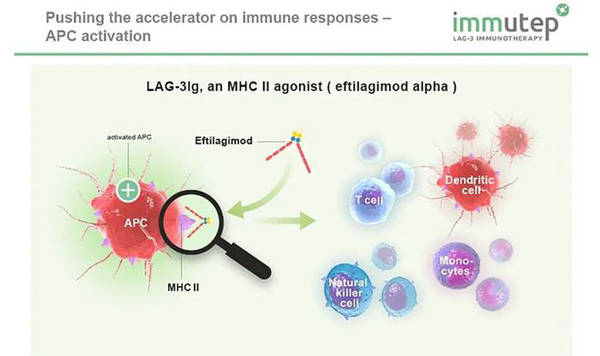 1694399470941244.png 20230802a2.png