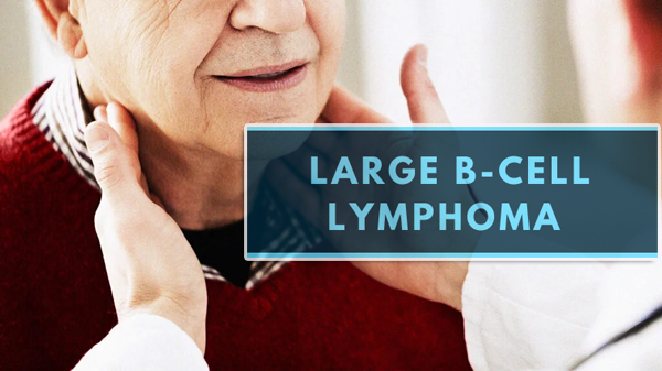 1695867979621704.png 20230919a.png