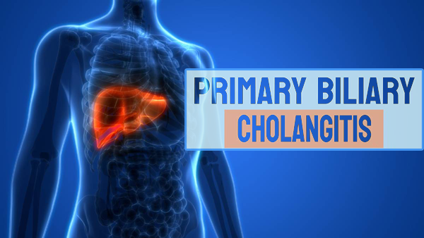 1697081183686835.png 20230908a.png