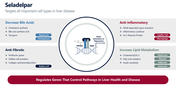 1697081200235936.png 20230908a2.png