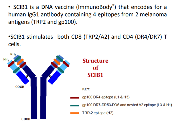 1697421156129200.png 20230921a2.png