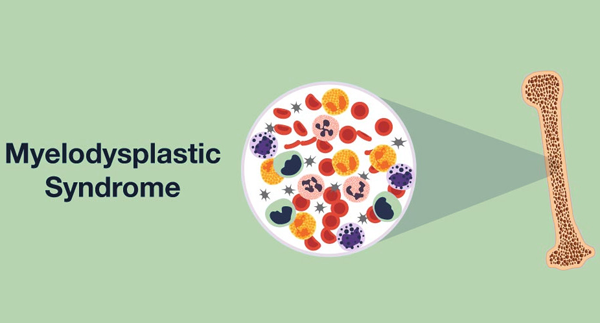 1698376566360111.png 20231026a.png