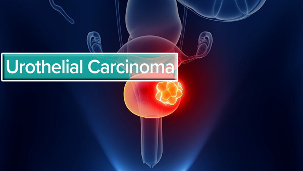 1698635483946705.png 20231007f.png