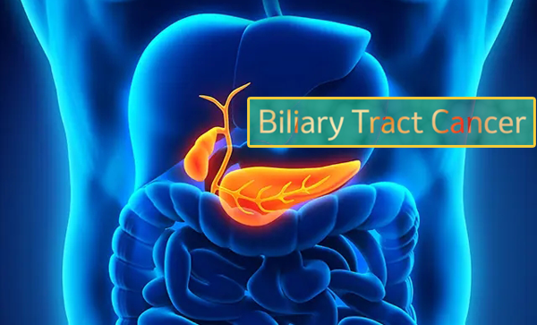 1699239880195655.png 20231102a.png